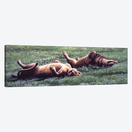 Synchronised Lions Canvas Print #JYP76} by Jeremy Paul Art Print