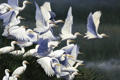 Flight Of Egrets by Jeremy Paul art print