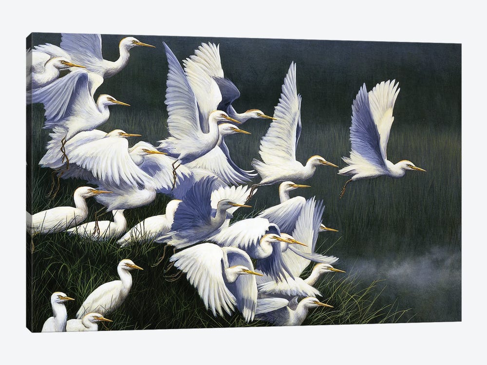 Flight Of Egrets by Jeremy Paul 1-piece Canvas Print