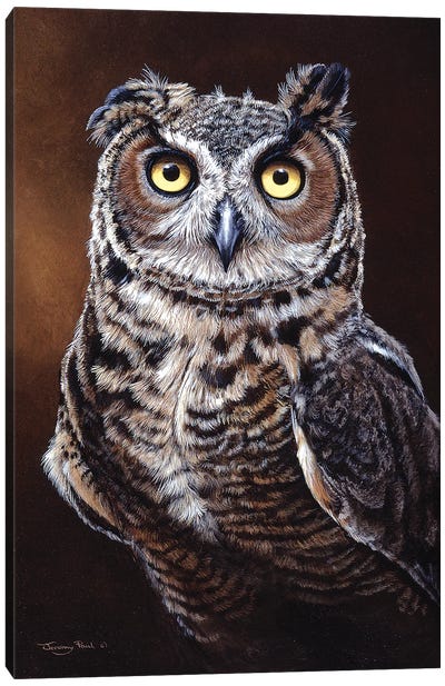 Great Horned Owl Canvas Art Print - Jeremy Paul