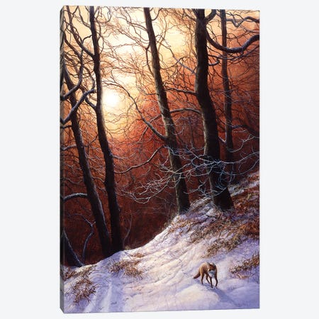 Winter Return - Fox Canvas Print #JYP79} by Jeremy Paul Canvas Artwork