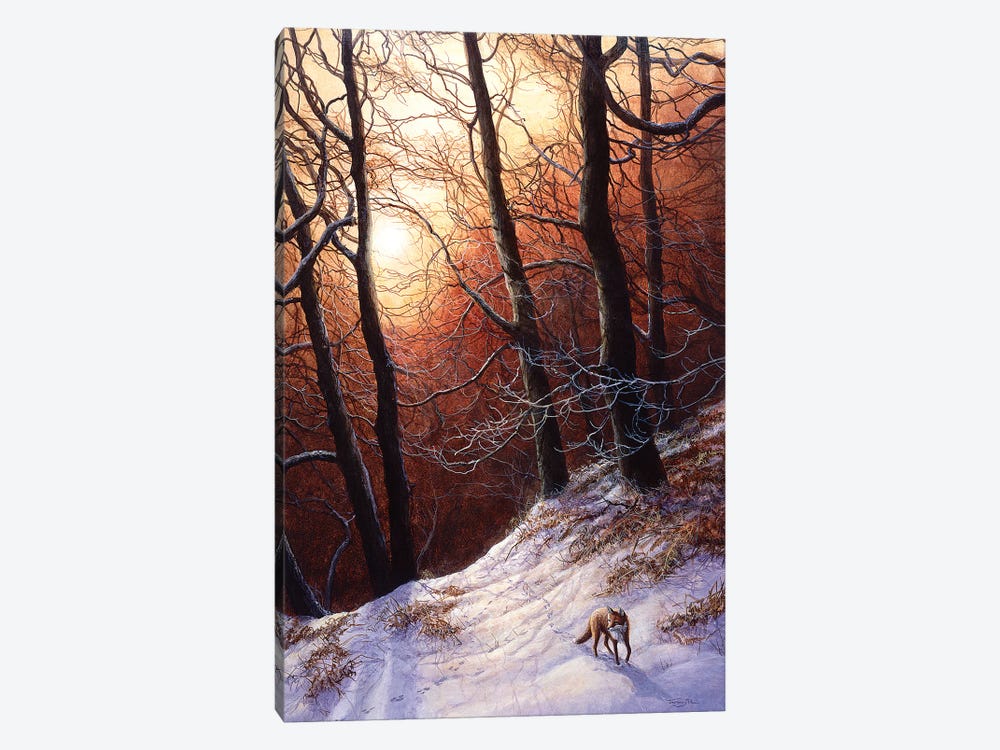 Winter Return - Fox by Jeremy Paul 1-piece Canvas Art Print