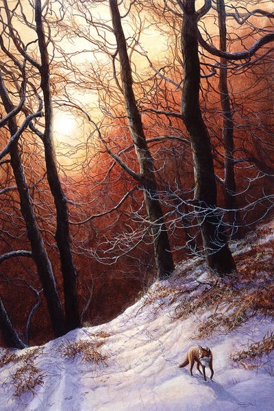 Rustic Winter: Winter Return - Fox by Jeremy Paul