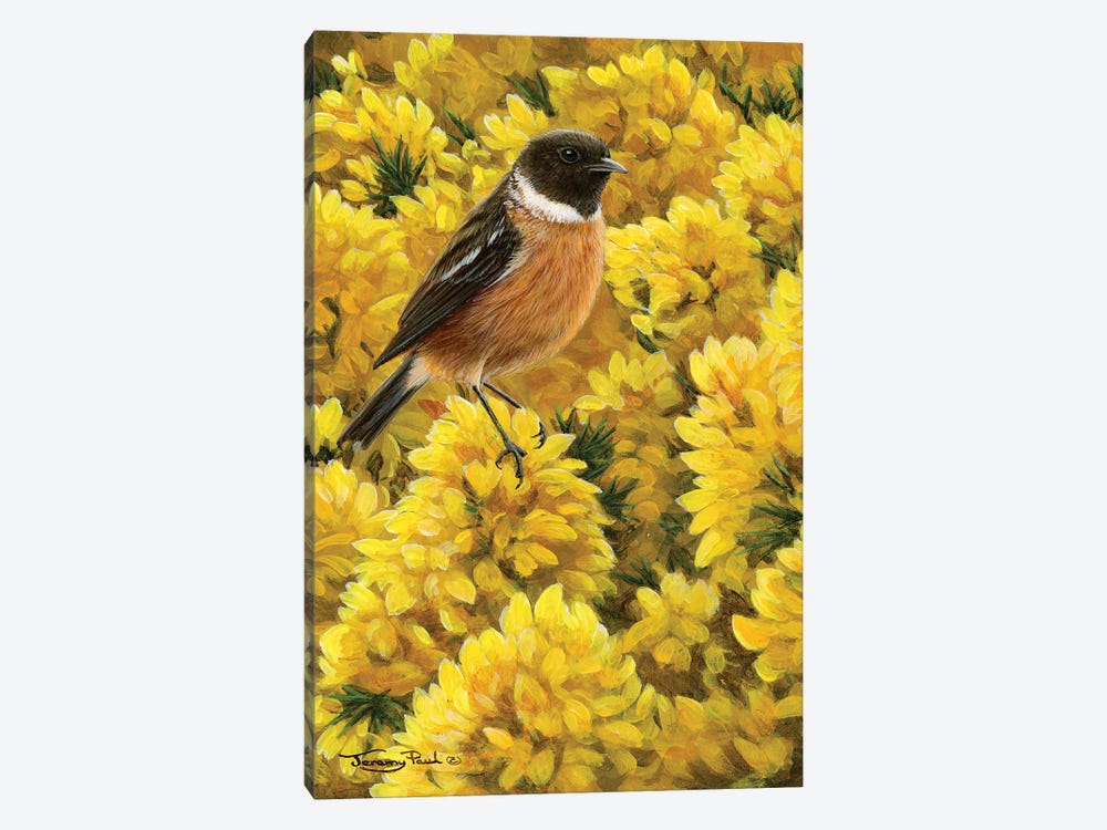 Stonechat And Gorse by Jeremy Paul 1-piece Canvas Art