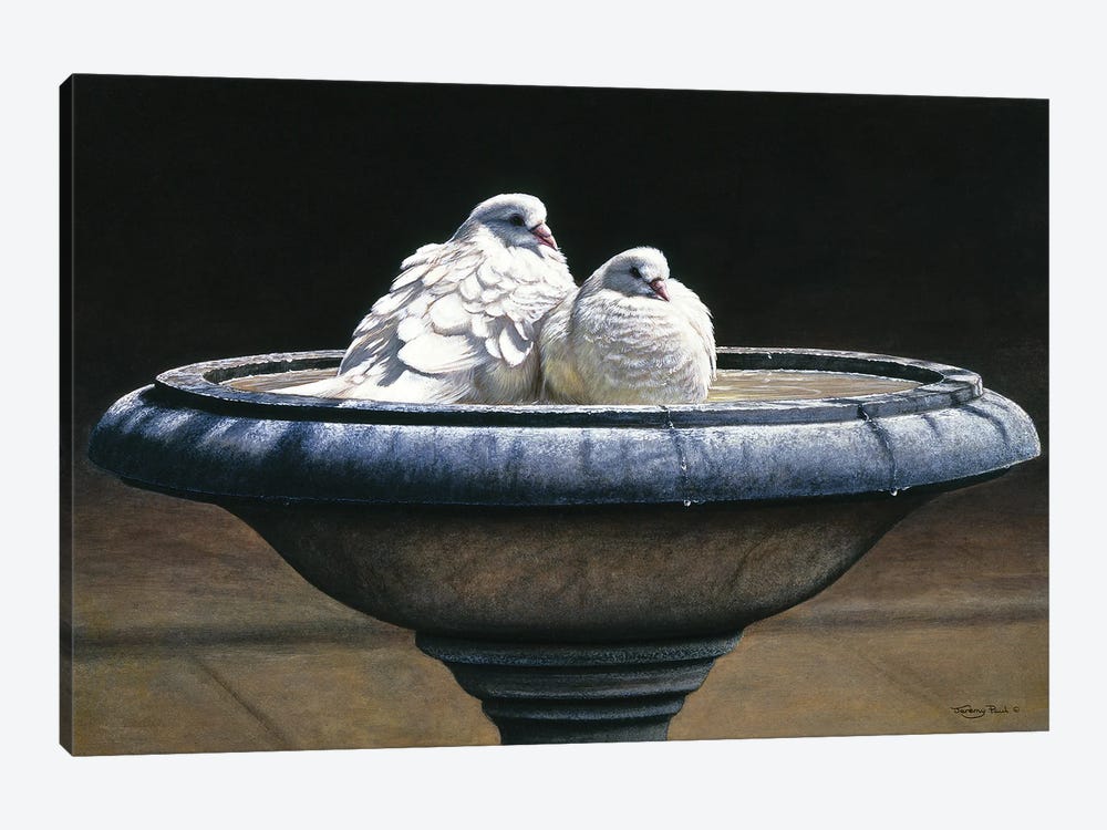 Bird Bath by Jeremy Paul 1-piece Art Print