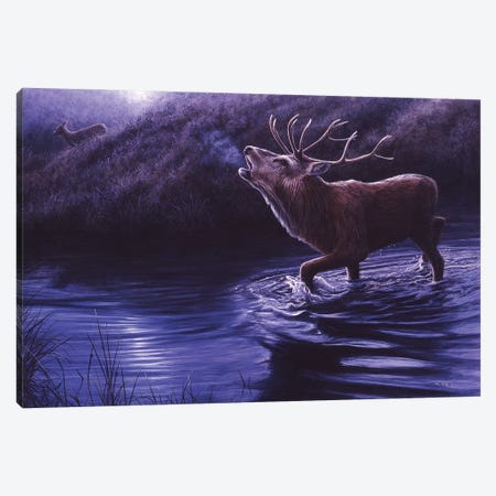 Moonlight Roar - Red Deer Canvas Print #JYP81} by Jeremy Paul Canvas Print