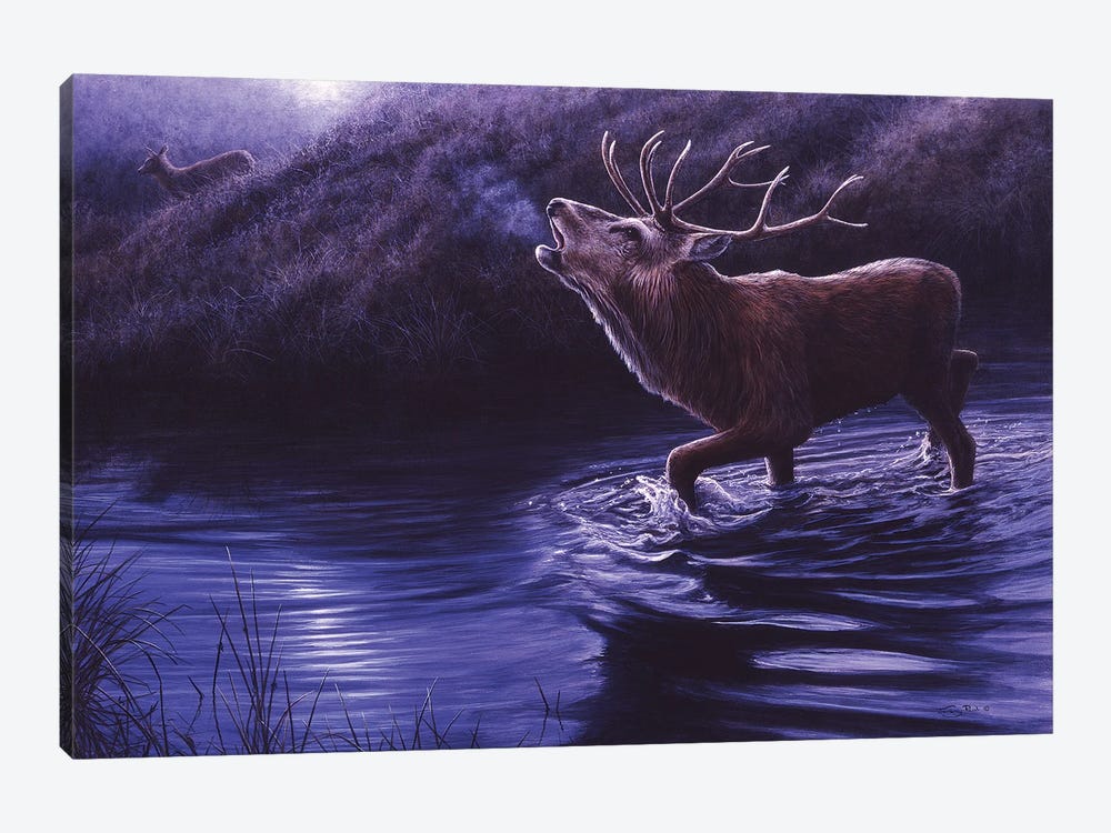 Moonlight Roar - Red Deer by Jeremy Paul 1-piece Canvas Art