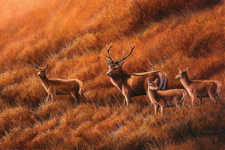 Autumn Hill - Stag And Hinds