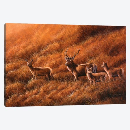 Autumn Hill - Stag And Hinds Canvas Print #JYP82} by Jeremy Paul Art Print