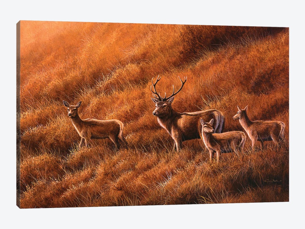 Autumn Hill - Stag And Hinds 1-piece Art Print