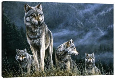 Taking The High Ground Canvas Art Print - Wolf Art
