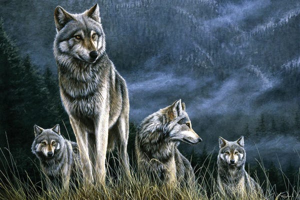 Wolves: Taking The High Ground by Jeremy Paul