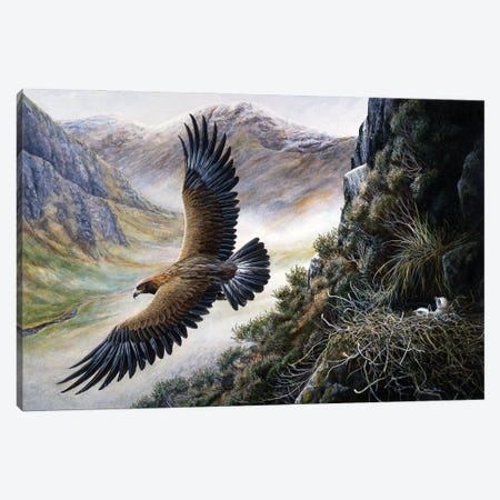 Golden Eagle Canvas Print #JYP85} by Jeremy Paul Canvas Art