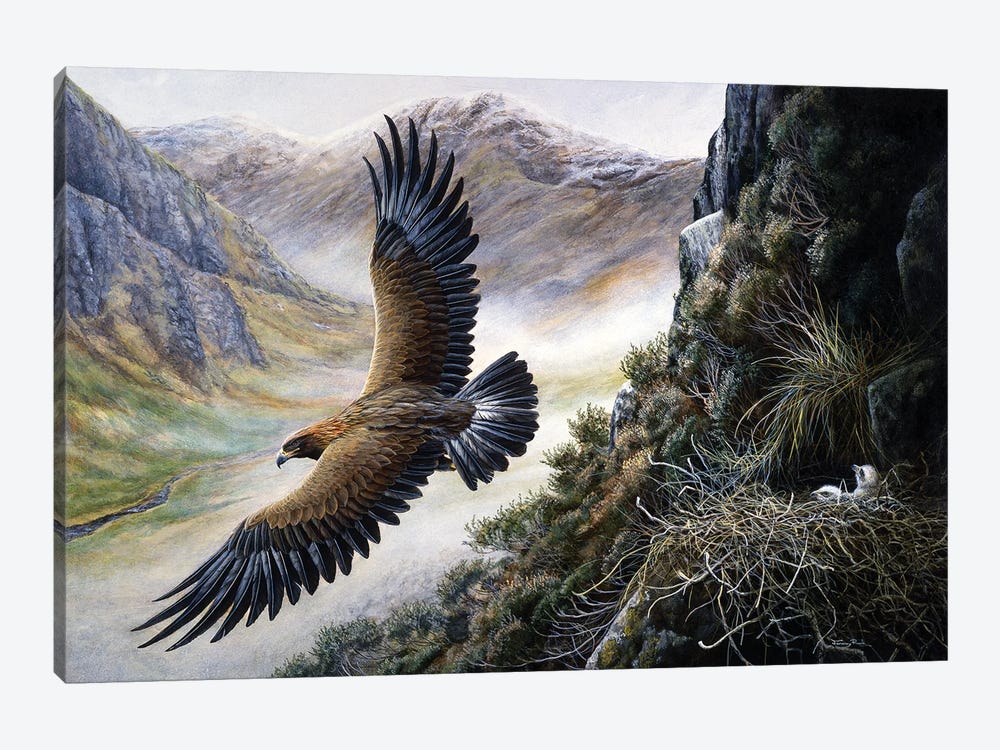 Golden Eagle by Jeremy Paul 1-piece Canvas Wall Art