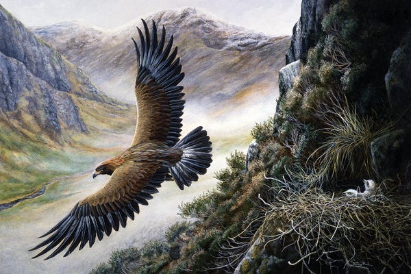Cabin & Lodge Décor: Golden Eagle by Jeremy Paul