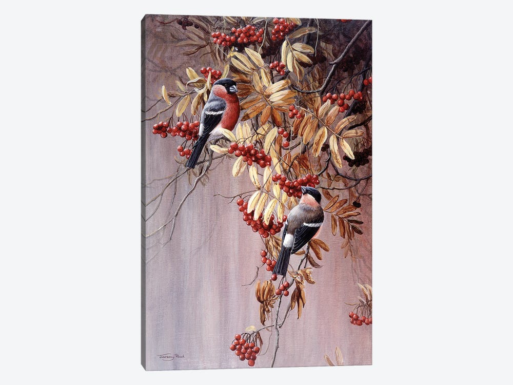 Bullfinches by Jeremy Paul 1-piece Canvas Art Print