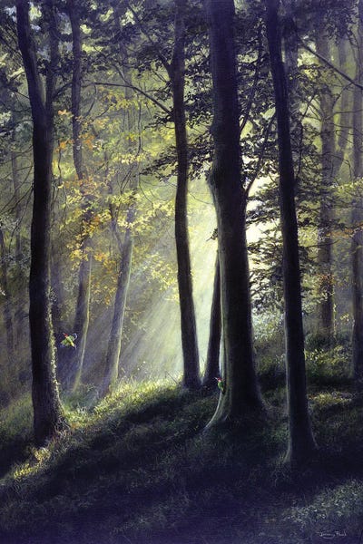 Summer Glade - Green Woodpecker by Jeremy Paul canvas print