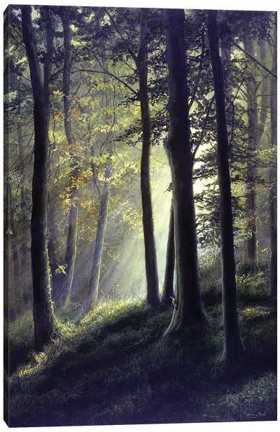 Summer Glade - Green Woodpecker Canvas Art Print - Jeremy Paul