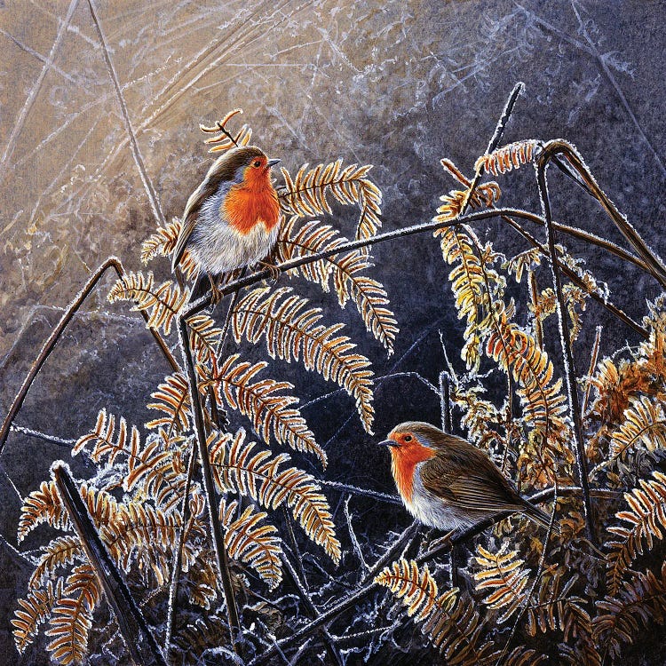 Frosted Gold - Robins