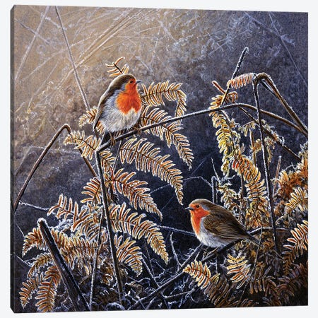 Frosted Gold - Robins Canvas Print #JYP90} by Jeremy Paul Canvas Artwork