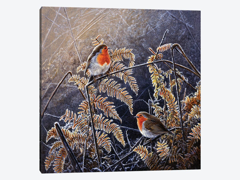 Frosted Gold - Robins by Jeremy Paul 1-piece Canvas Art