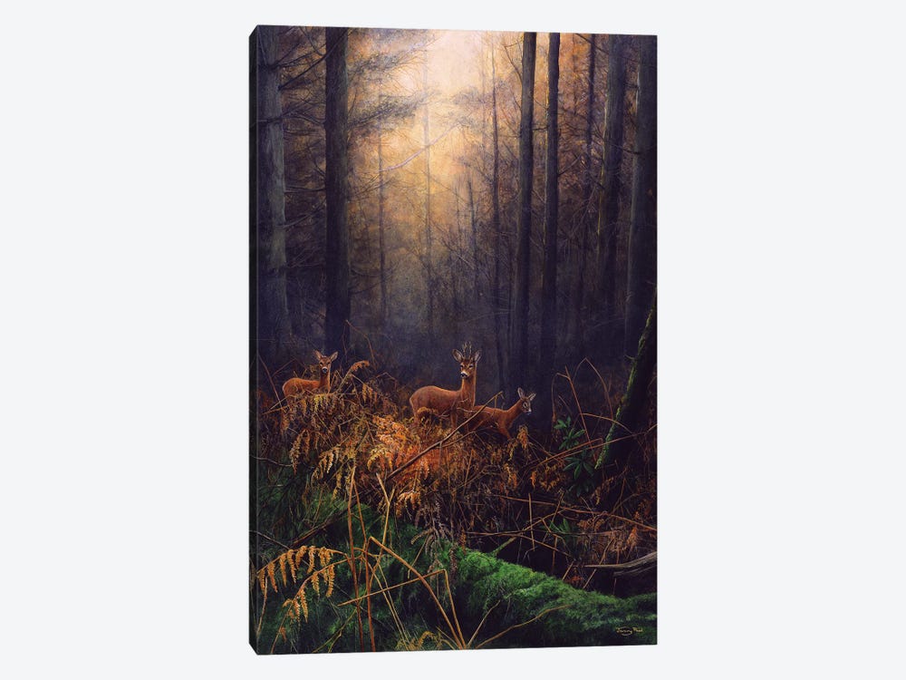 Autumn Mist - Roe Deer by Jeremy Paul 1-piece Canvas Art Print