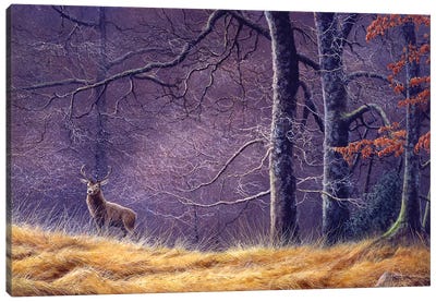 Woodland Encounter Canvas Art Print - Jeremy Paul