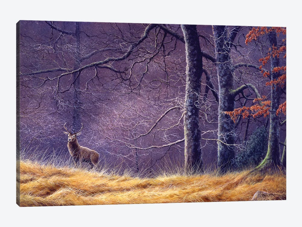 Woodland Encounter by Jeremy Paul 1-piece Canvas Wall Art