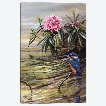 Kingfisher And Rhododendron Canvas Print #JYP95} by Jeremy Paul Canvas Art Print