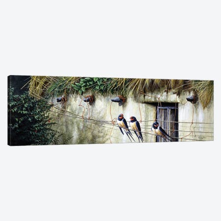 Old Thatch - Swallows Canvas Print #JYP98} by Jeremy Paul Canvas Art