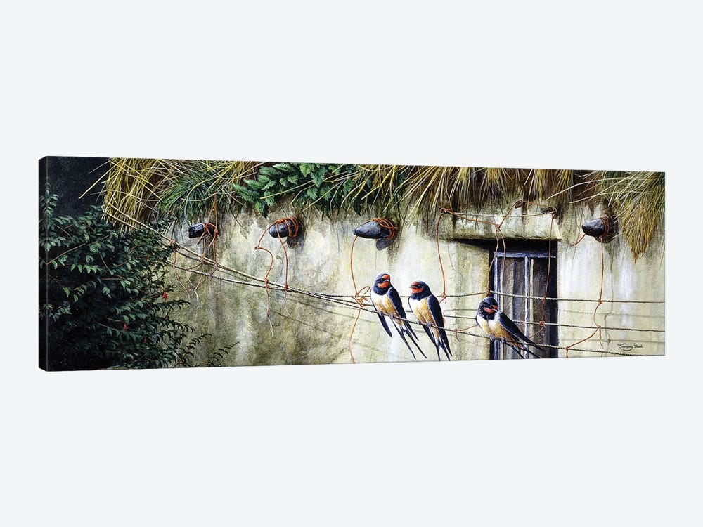 Old Thatch - Swallows by Jeremy Paul 1-piece Canvas Wall Art