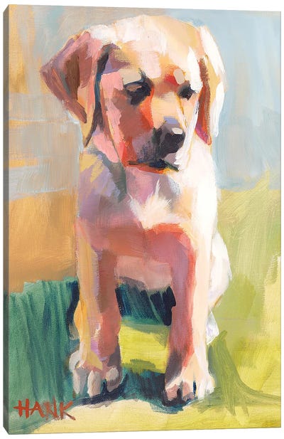Hank Canvas Art Print - Puppy Art