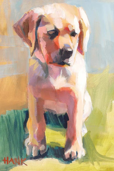 Labrador Retrievers: Hank by Jenny Westenhofer
