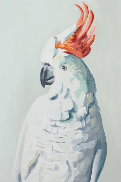 White Cockadoo by Jenny Westenhofer acrylic art print