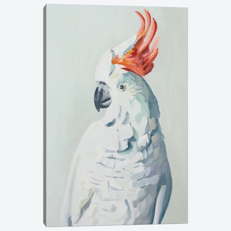 White Cockadoo Canvas Print #JYW33} by Jenny Westenhofer Art Print