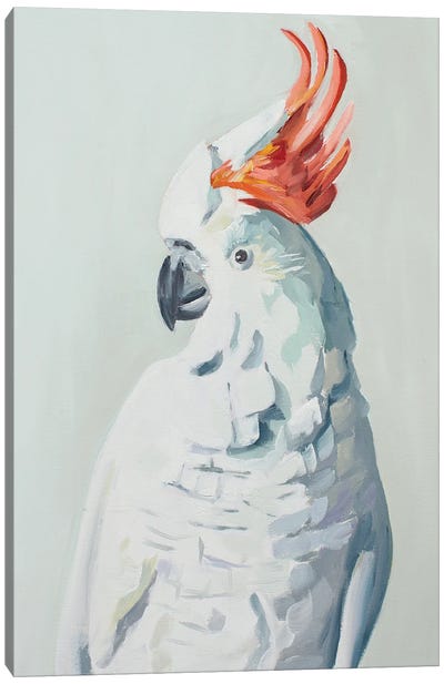 White Cockadoo Canvas Art Print - Jenny Westenhofer