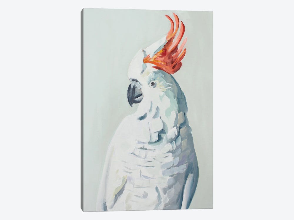 White Cockadoo by Jenny Westenhofer 1-piece Canvas Art
