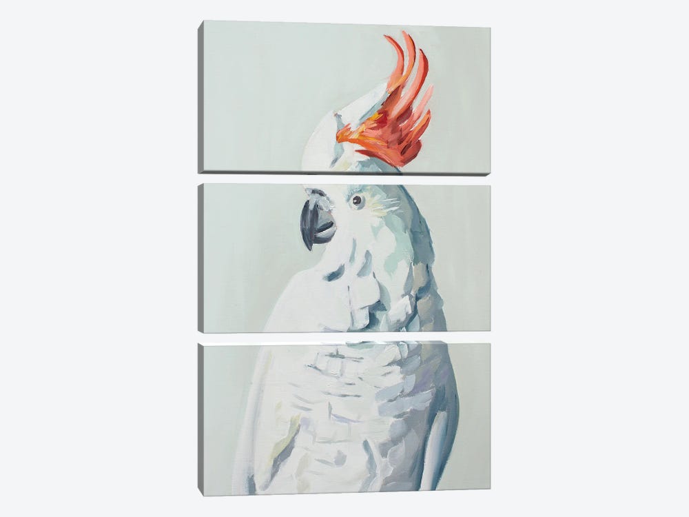 White Cockadoo by Jenny Westenhofer 3-piece Canvas Artwork