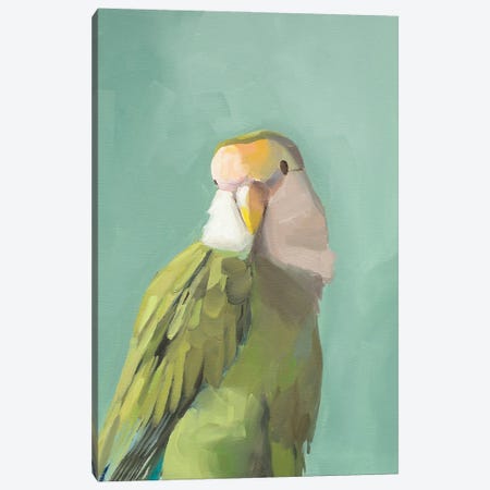 Green Cockadoo Canvas Print #JYW36} by Jenny Westenhofer Canvas Wall Art