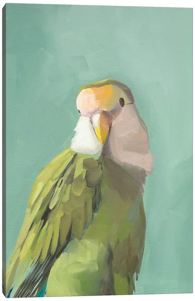 Green Cockadoo Canvas Art Print - Green Art
