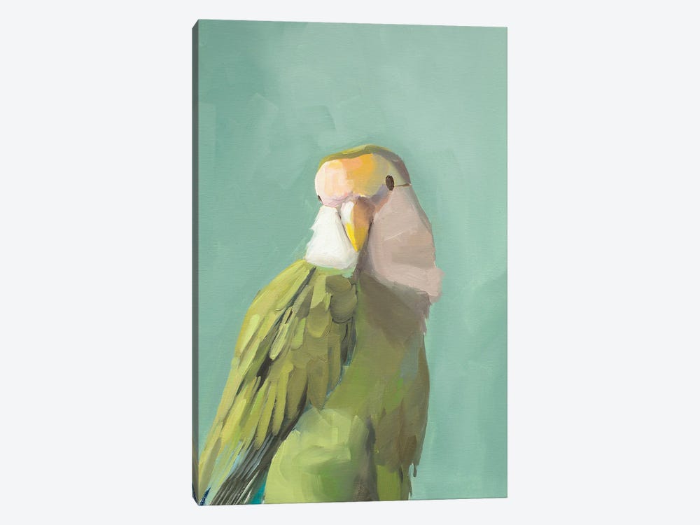 Green Cockadoo by Jenny Westenhofer 1-piece Canvas Print