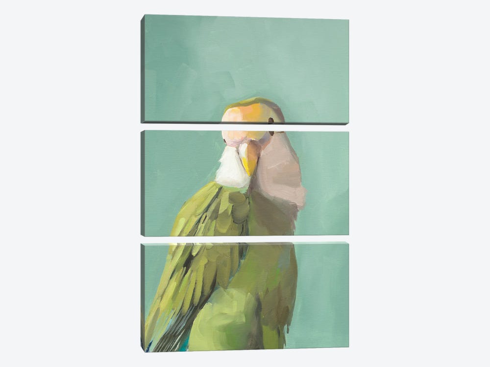 Green Cockadoo by Jenny Westenhofer 3-piece Canvas Art Print