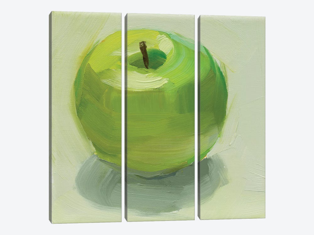 Green Apple by Jenny Westenhofer 3-piece Canvas Wall Art