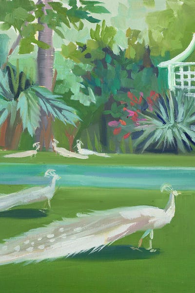 Tropical Living Room: Peacocks by Jenny Westenhofer