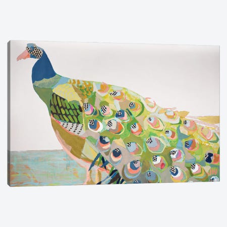Connie's Peacock Canvas Print #JYW9} by Jenny Westenhofer Canvas Wall Art