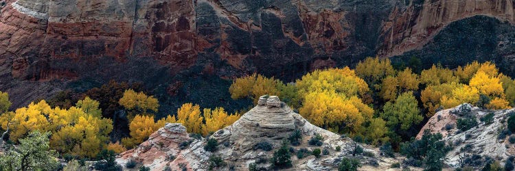 USA, Utah. Autumn cottonwoods and sandstone formations in canyon, Grand Staircase-Escalante National Monument.