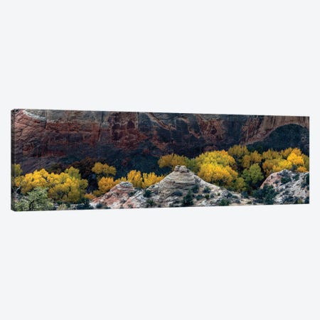 USA, Utah. Autumn cottonwoods and sandstone formations in canyon, Grand Staircase-Escalante National Monument. Canvas Print #JZI17} by Judith Zimmerman Canvas Wall Art