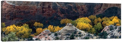 USA, Utah. Autumn cottonwoods and sandstone formations in canyon, Grand Staircase-Escalante National Monument. Canvas Art Print