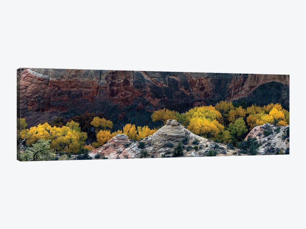 USA, Utah. Autumn cottonwoods and sandstone formations in canyon, Grand Staircase-Escalante National Monument. by Judith Zimmerman 1-piece Canvas Art