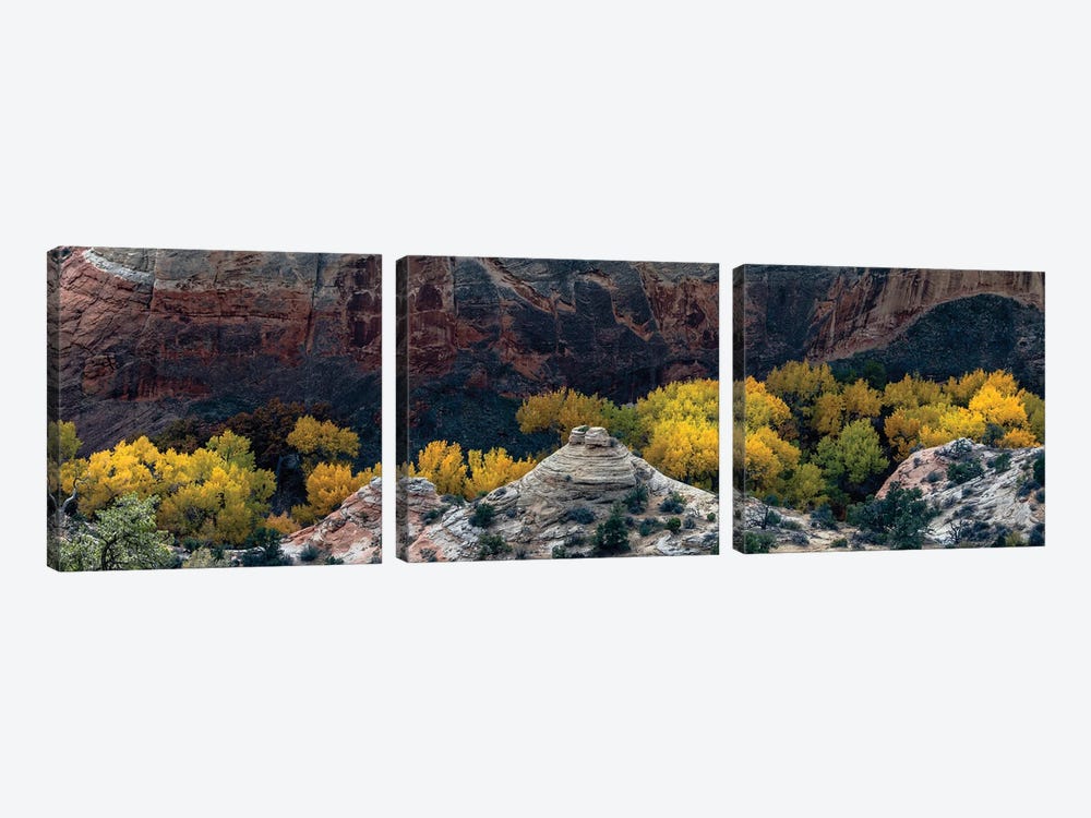 USA, Utah. Autumn cottonwoods and sandstone formations in canyon, Grand Staircase-Escalante National Monument. 3-piece Canvas Artwork